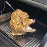 Just an ordinary turkey's profile picture