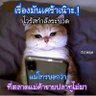 ยิ้มสู้เข้าไว้ แล้วจะดีเอง😀😀😀 的头像
