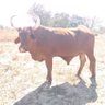 Terry Shakespeare21's profile picture