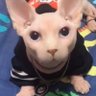 🎗️Beanz🎗️ profil fotoğrafı