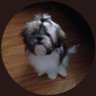 Profilbild von NanaGrams