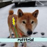 Фото профиля よしみん🐱🍒‘25も推しまくります🔥