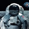 Thei Ngo Dao's profile picture