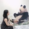 kikunotch's profile picture