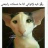 M Al shaibi's profile picture