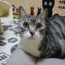 ピノちゃん profil fotoğrafı