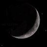 The Moon's profile picture