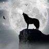 $LUNC Crypto Wolf 🐺 profil fotoğrafı