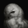 Profilbild von Saint Ⅳ