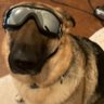 Alan's profile picture