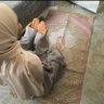 ~أميــرة الحجــاز~👸 的头像