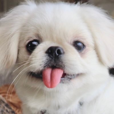 ๐ฟ๐๐๐ธ๐๐๐'s profile picture