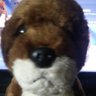 Фото профиля Actual Otter