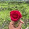 ﮼الغامض 💙 的头像