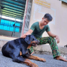 Tam Pig's profile picture