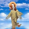 DuckJesus's profile picture