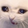 Im not a furry but...🔞's profile picture