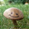 Mutagrzyb profil fotoğrafı