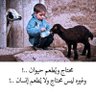 شاهين profil fotoğrafı