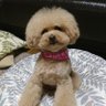 nana's profile picture