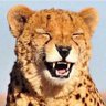 Profilbild von jse7en