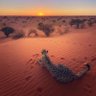 Фото профиля Sam Lam