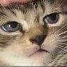 Alex's profile picture