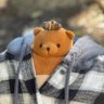 Profilbild von Pip Tinyhead 🧸💕