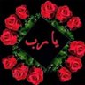 Omar Alfarok's profile picture