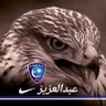صقر الهلال 💙 的头像
