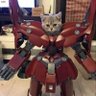 Catminator's profile picture