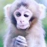 Profilbild von KRON
