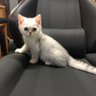 チェイサー★🌙🐈🥞 profil fotoğrafı