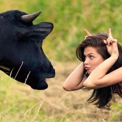 jojyou114's profile picture