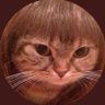 Gata sin chip 🌳's profile picture