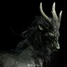 张甘木's profile picture