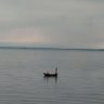 Фото профиля bihari