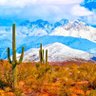Profilbild von Whitemountainsofarizona