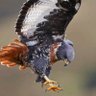 M/1 profil fotoğrafı