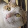 Celia 123456's profile picture
