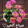Safaa mahmoud's profile picture