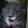 Profilbild von Stephen Cr*ss