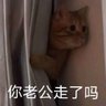 十三哥's profile picture