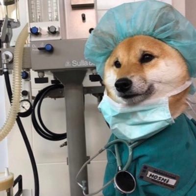 This_Is_51's profile picture