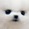 あい's profile picture