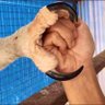 BlackEagle 的头像