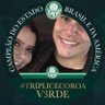 Lucas Barros's profile picture