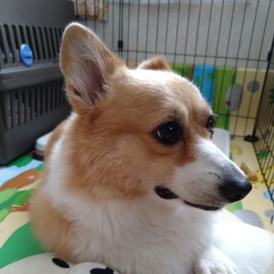 merotyan0222's profile picture