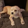Mmythh's profile picture