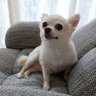 Profilbild von ぴん☆カプ